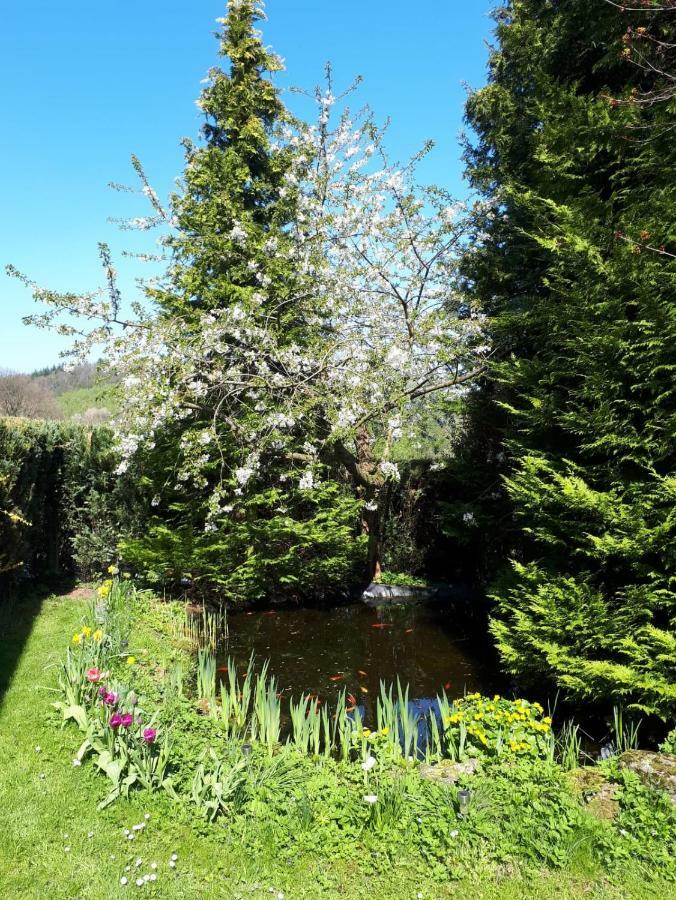 Ferienwohnung Am Sorpesee Allendorf  Zewnętrze zdjęcie